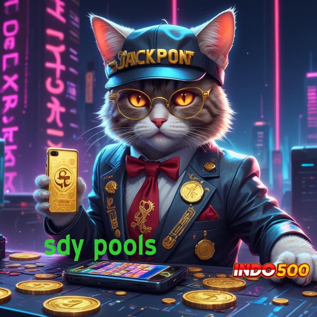 SDY POOLS versi terkini versi digital game